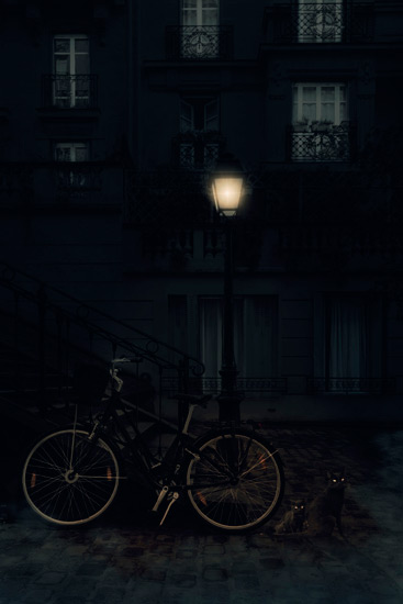 catsnight artwork